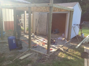The coop, in progress.  My ridiculously talented carpenter/husband has the redesign in progress.  Cluckingham Palace (I WILL have a sign made up) will probably be nicer than our house with shade via a chickeny pergola, insulated walls, lighting inside and out, and a washable surface in and out.